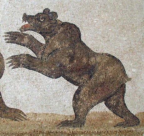 The Bardo Bear, Tunis