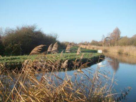 Wicken Fen
