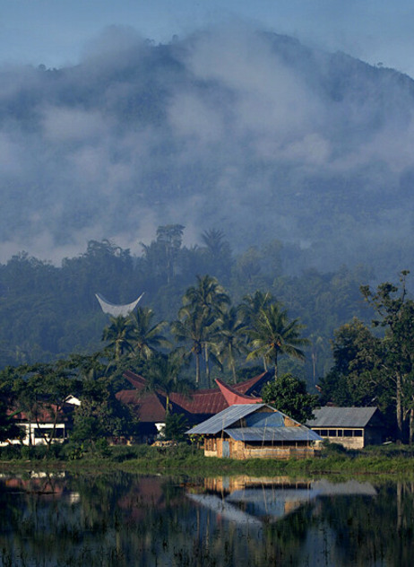 Traditional houses of Toraja in Sulawesi