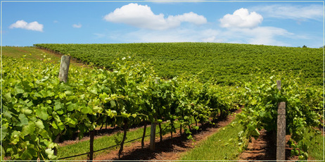 Hunter Valley, Australia