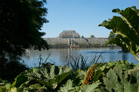 Palm House across a lake