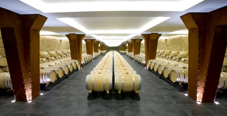 Barrel Cellar at Dinastia Vivanco