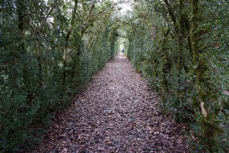 Pathway to garden paradise